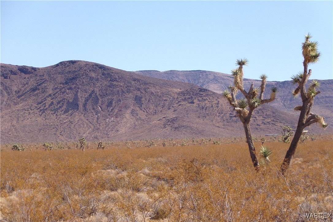 10 Acres of Land for Sale in White Hills, Arizona