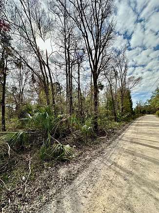 18.4 Acres of Recreational Land for Sale in Horseshoe Beach, Florida