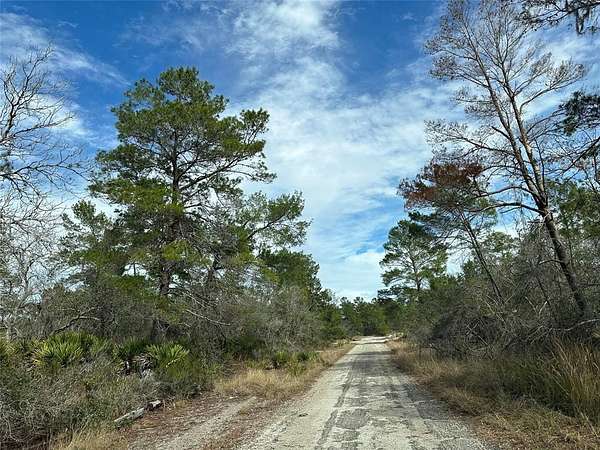 0.2 Acres of Residential Land for Sale in Sebring, Florida