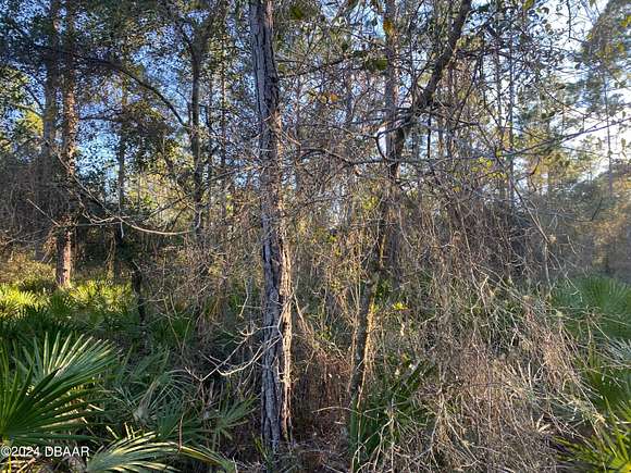 0.23 Acres of Land for Sale in Georgetown, Florida