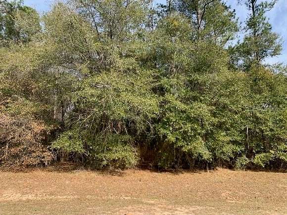 1.37 Acres of Residential Land for Sale in Quincy, Florida