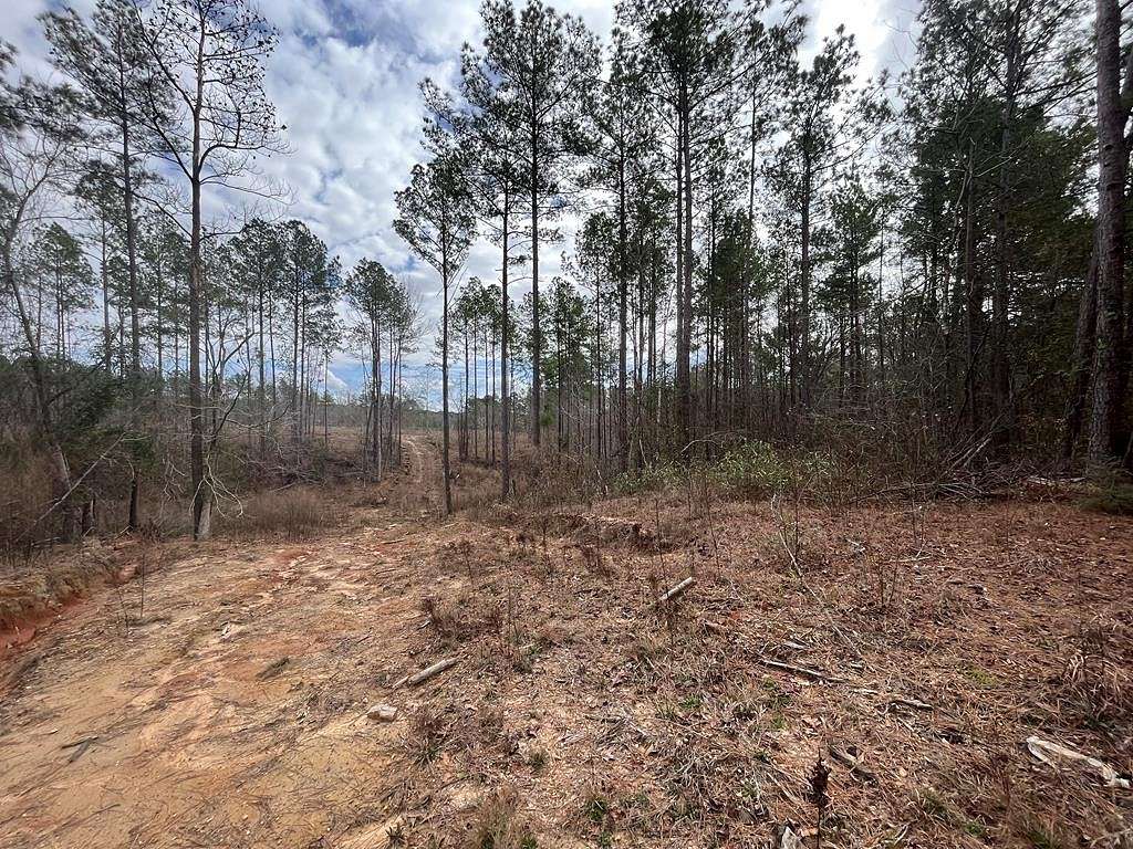 18.4 Acres of Land for Sale in Brookhaven, Mississippi