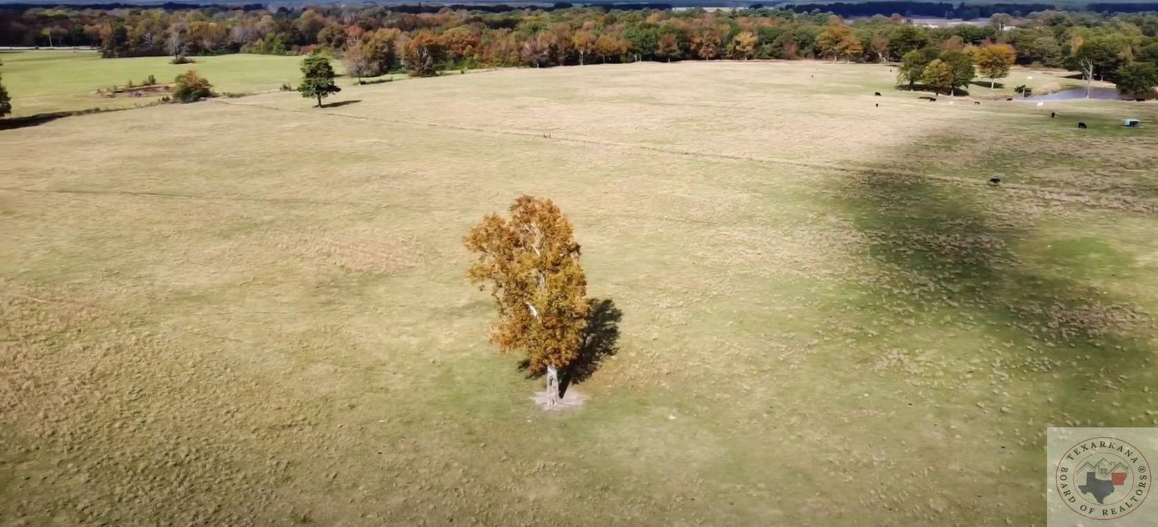 17 Acres of Land for Sale in De Kalb, Texas