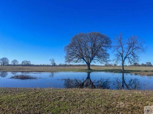 17 Acres of Agricultural Land for Sale in De Kalb, Texas