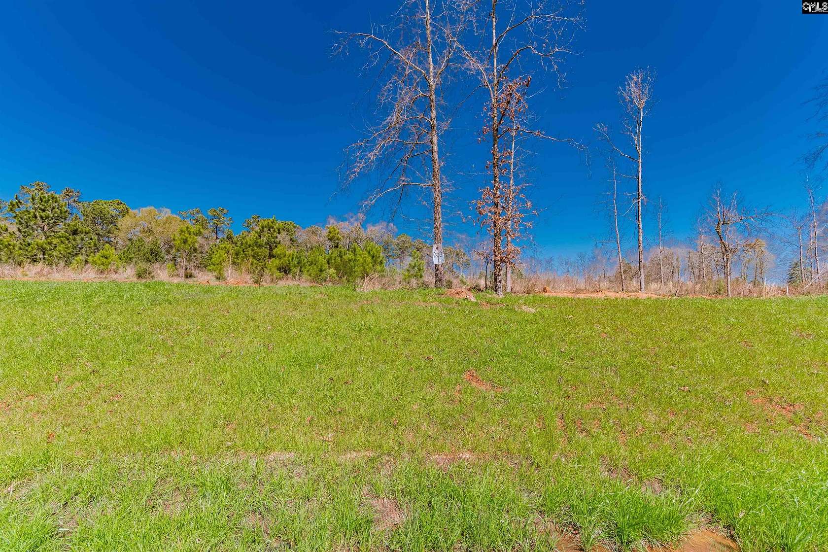 1 Acre of Residential Land for Sale in Prosperity, South Carolina