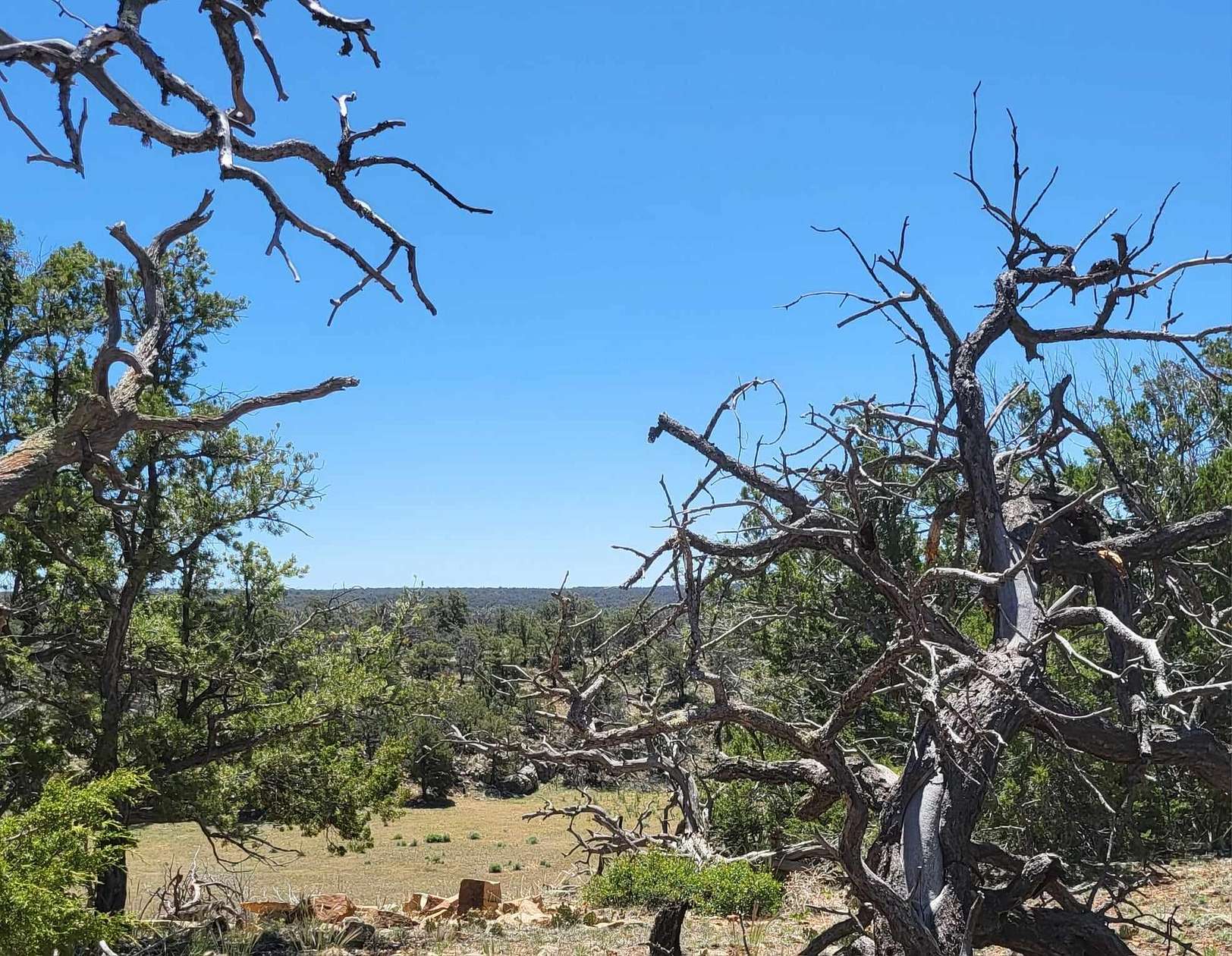 33.88 Acres of Recreational Land for Sale in Ramah, New Mexico