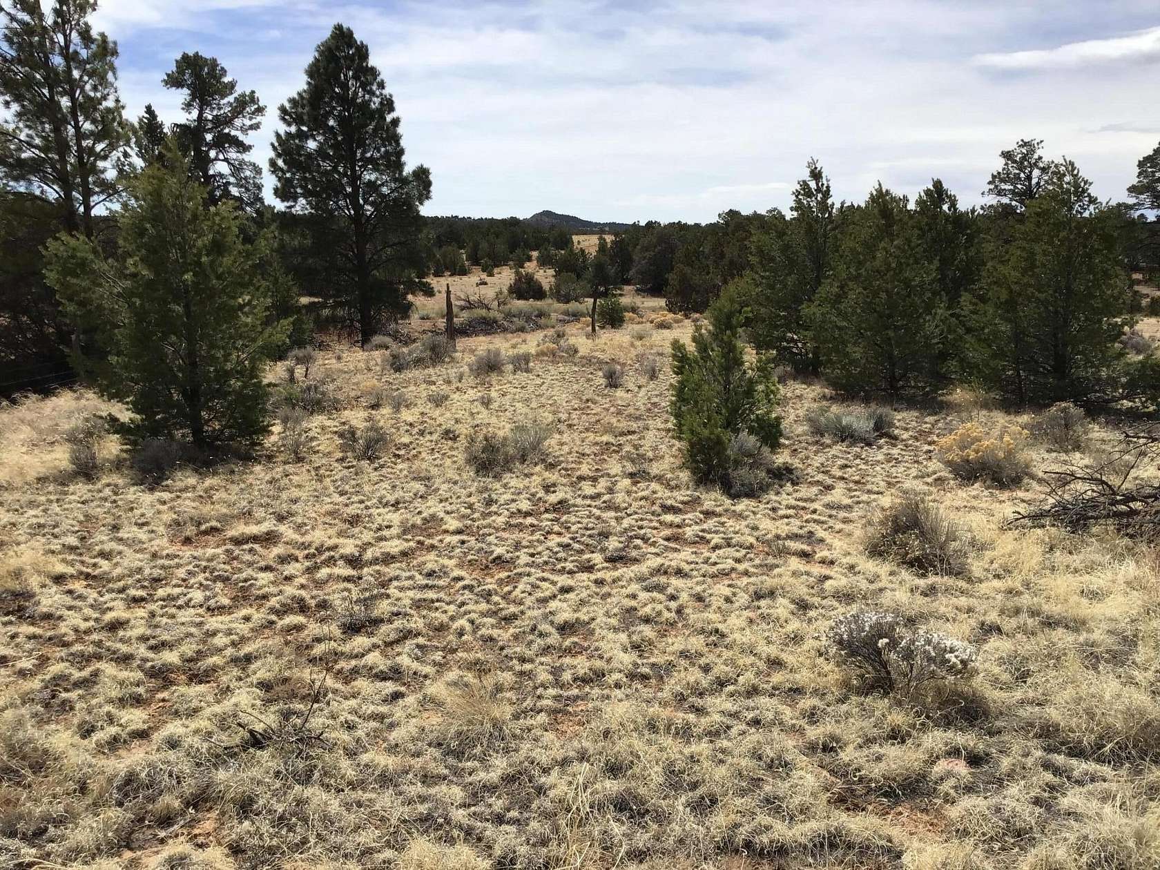 5 Acres of Land for Sale in Ramah, New Mexico