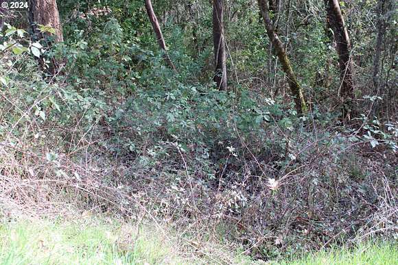 1.02 Acres of Residential Land for Sale in Myrtle Creek, Oregon