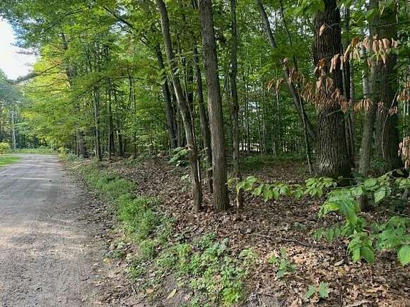 0.66 Acres of Residential Land for Sale in Gaylord, Michigan