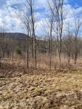 57.5 Acres of Land for Sale in Altamont, New York