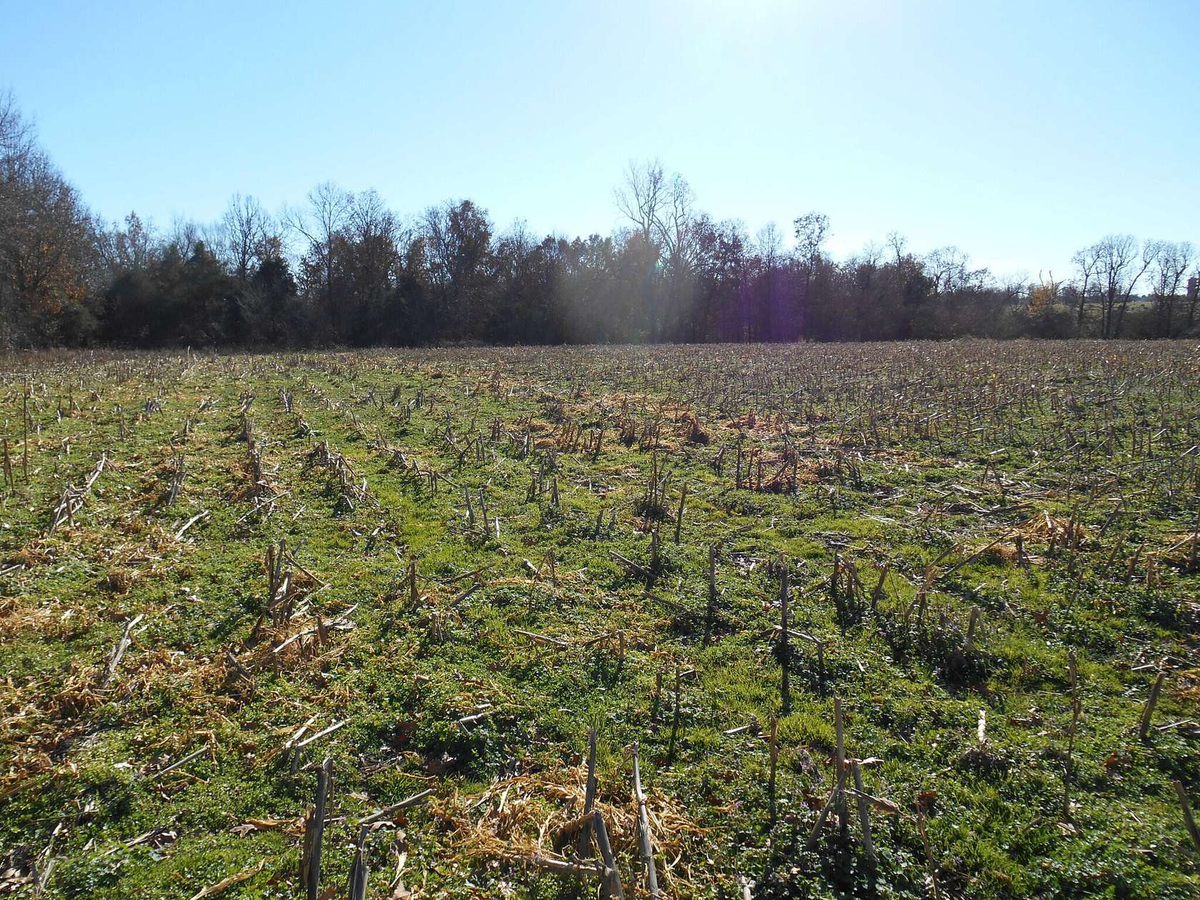 75.4 Acres of Agricultural Land for Sale in Verona, Missouri