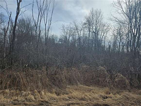 8.9 Acres of Land for Sale in Hawkins, Wisconsin