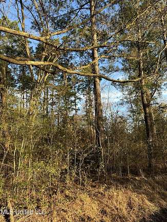 2.9 Acres of Residential Land for Sale in Lucedale, Mississippi