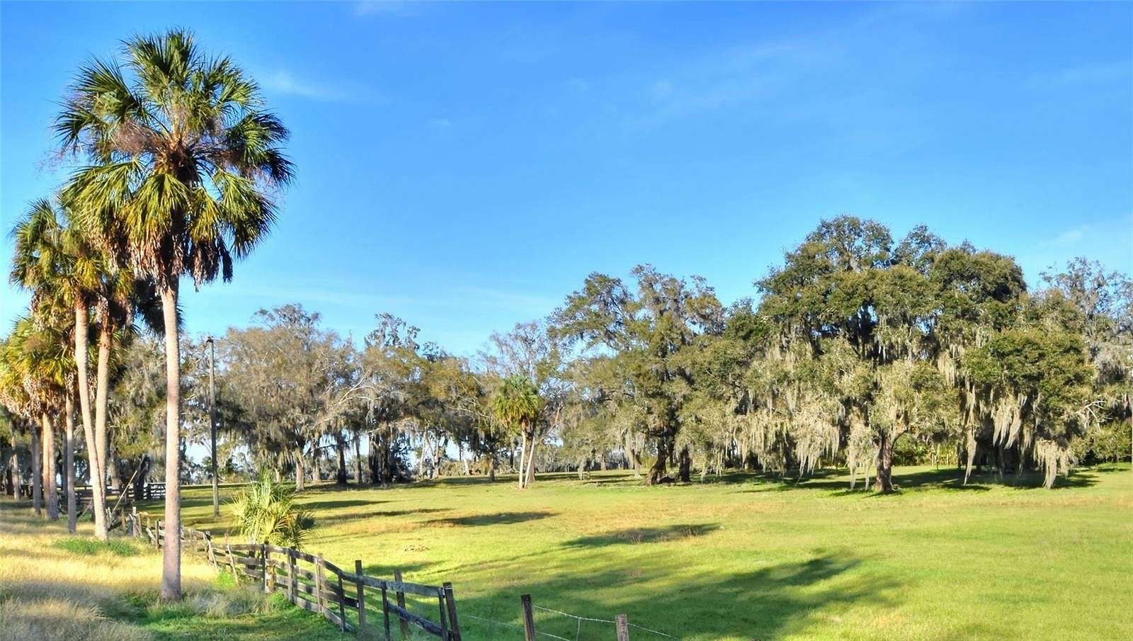159 Acres of Recreational Land & Farm for Sale in Plant City, Florida