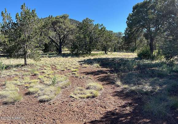 1 Acre of Residential Land for Sale in Williams, Arizona