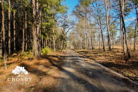 193 Acres of Recreational Land for Sale in Yemassee, South Carolina