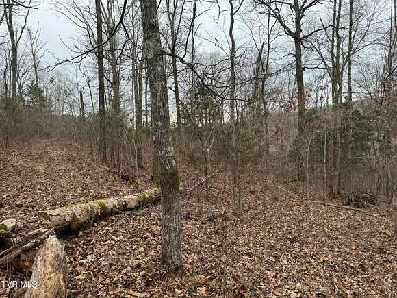 5.42 Acres of Land for Sale in Greeneville, Tennessee