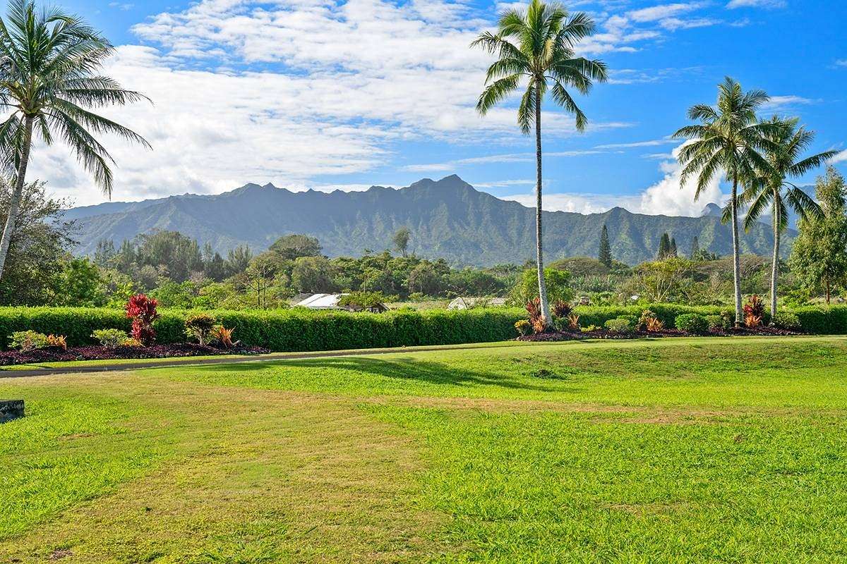 5 Acres of Residential Land for Sale in Kilauea, Hawaii