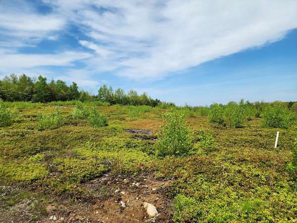 1.6 Acres of Residential Land for Sale in Liberty, Maine