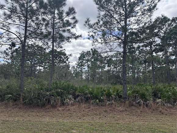 1 Acre of Residential Land for Sale in Indian Lake Estates, Florida