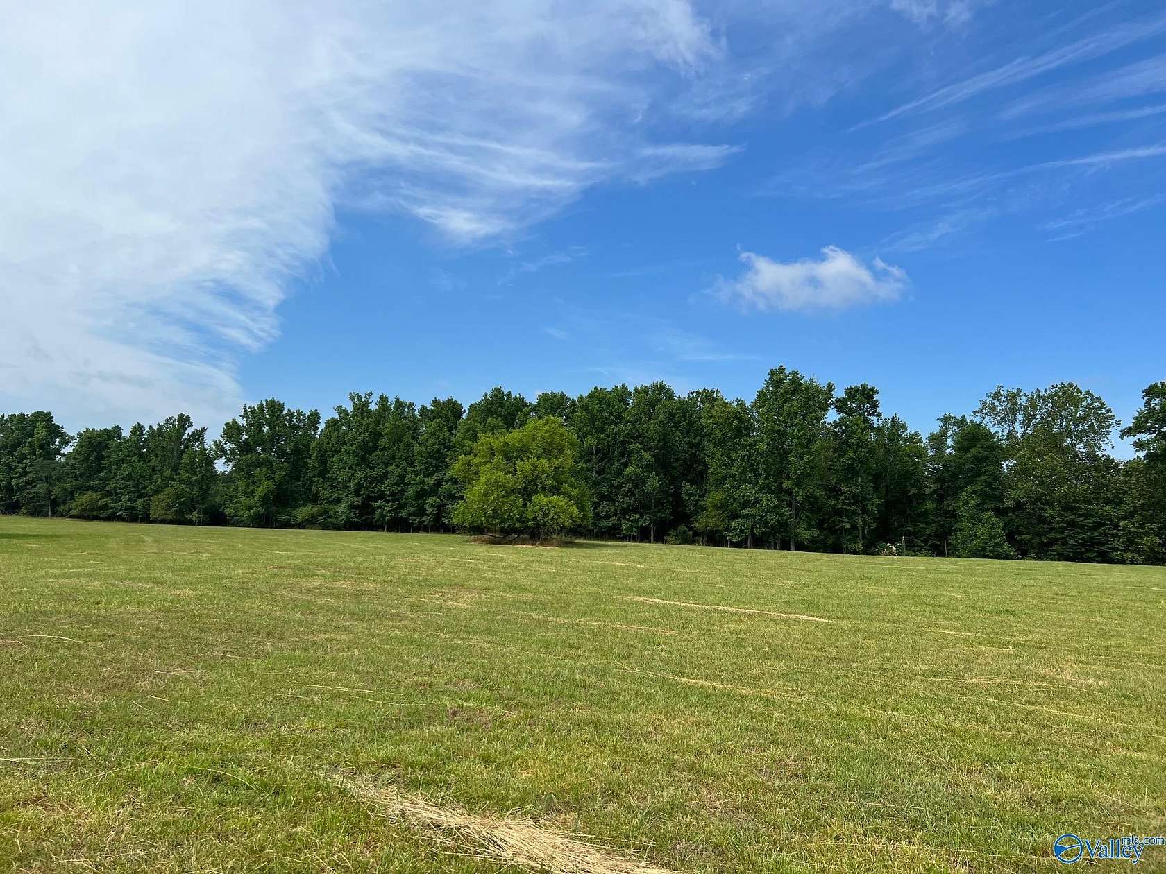 5 Acres of Residential Land for Sale in Section, Alabama