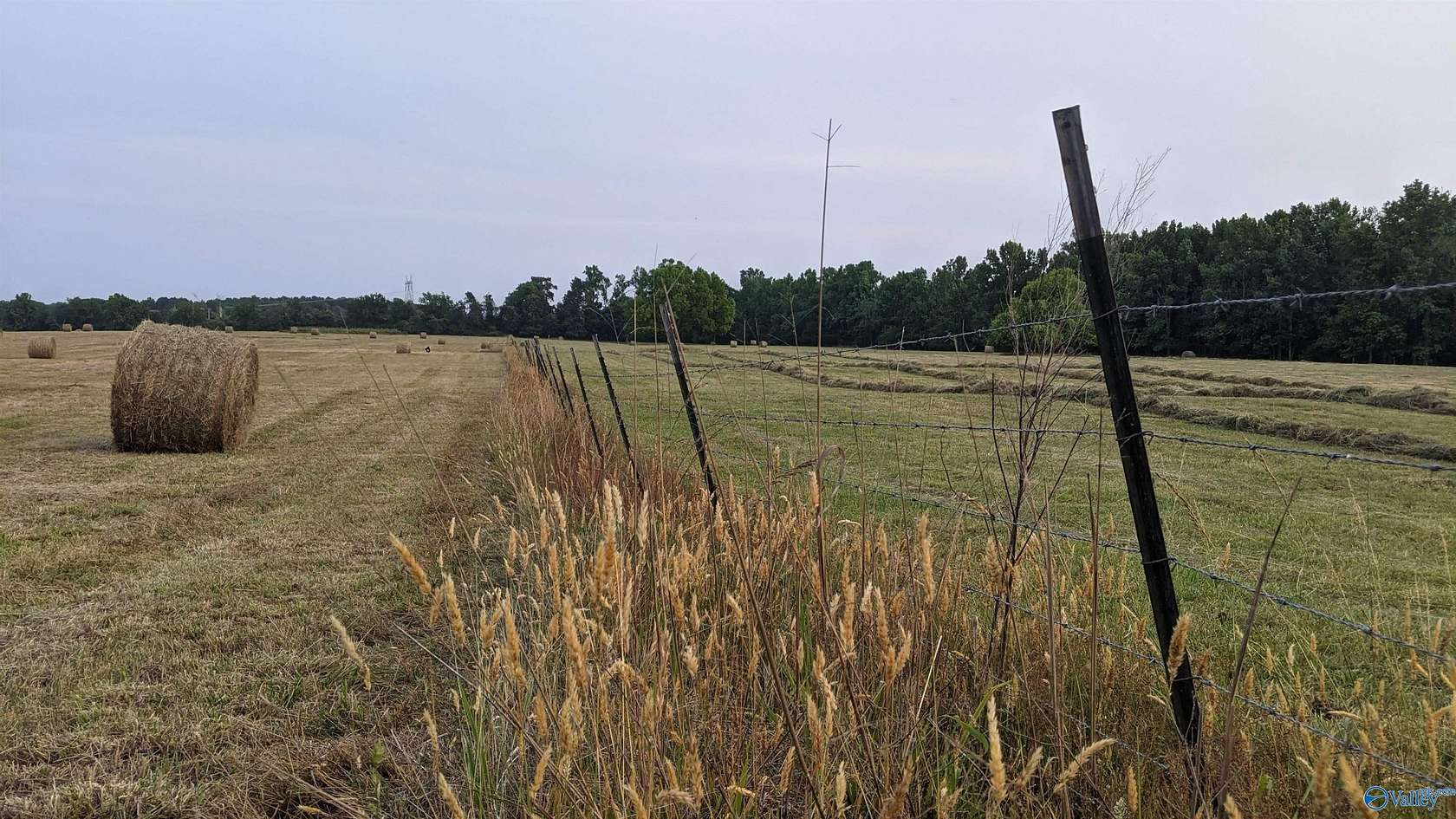 20 Acres of Agricultural Land for Sale in Section, Alabama
