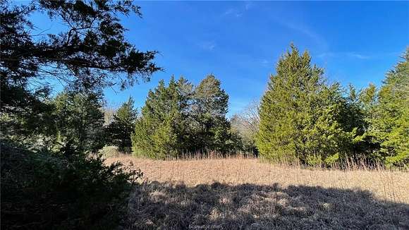 19.9 Acres of Land for Sale in Bremond, Texas