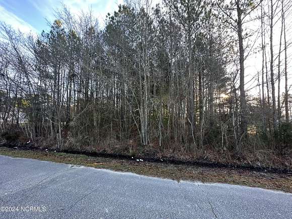 0.47 Acres of Land for Sale in Conway, North Carolina