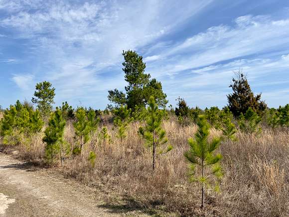 110 Acres of Recreational Land & Farm for Sale in Blountstown, Florida