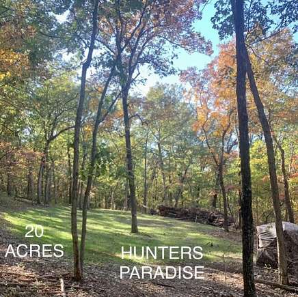 20 Acres of Recreational Land for Sale in Isabella, Missouri