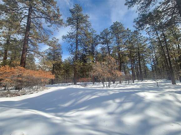 0.89 Acres of Residential Land for Sale in Chama, New Mexico