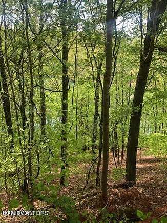 0.57 Acres of Residential Land for Sale in Washburn, Tennessee