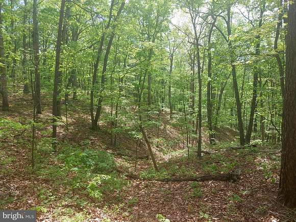 5.3 Acres of Land for Sale in Delray, West Virginia