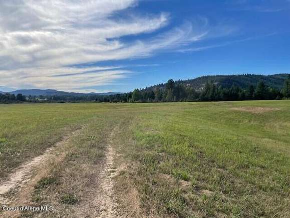 159 Acres of Agricultural Land for Sale in Priest River, Idaho