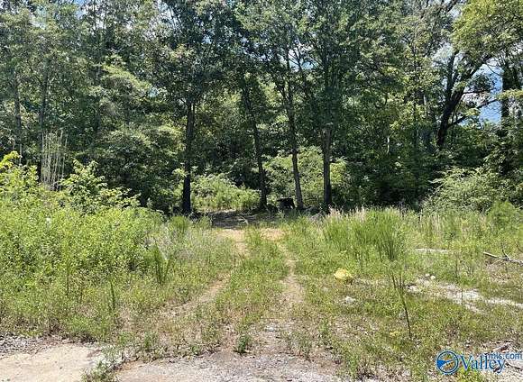 9.17 Acres of Residential Land for Sale in Guntersville, Alabama