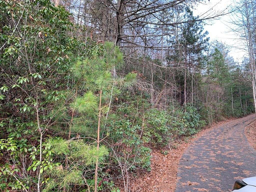 19 Acres of Land for Sale in Robbinsville, North Carolina