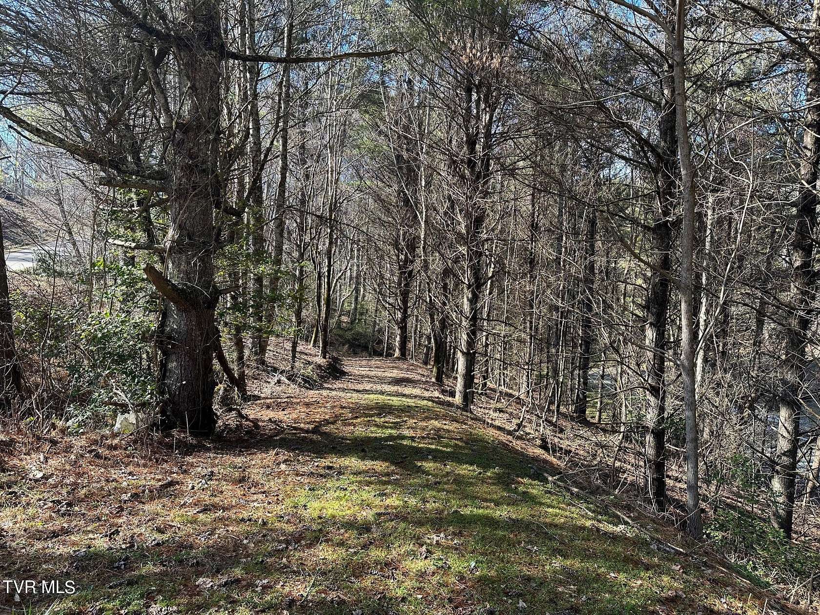 3.9 Acres of Residential Land for Sale in Mountain City, Tennessee