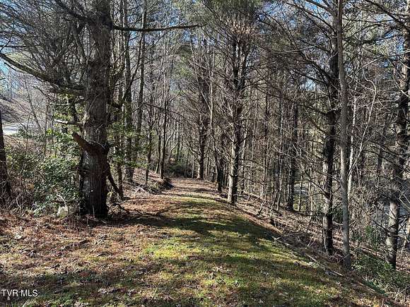 3.92 Acres of Residential Land for Sale in Mountain City, Tennessee