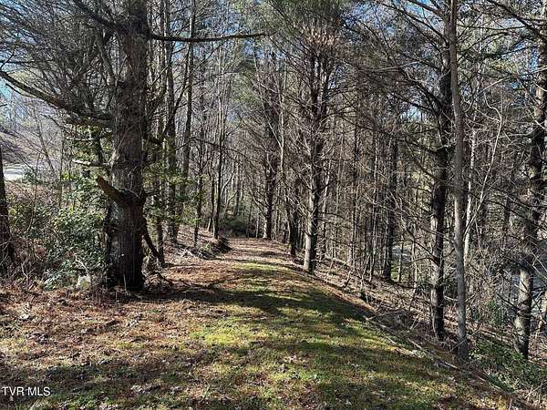 4 Acres of Residential Land for Sale in Mountain City, Tennessee