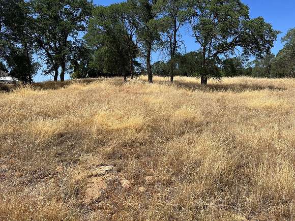 0.49 Acres of Residential Land for Sale in Copperopolis, California