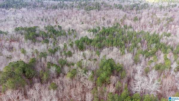 11.7 Acres of Land for Sale in Odenville, Alabama