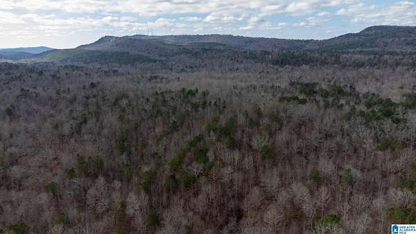 11.7 Acres of Land for Sale in Odenville, Alabama