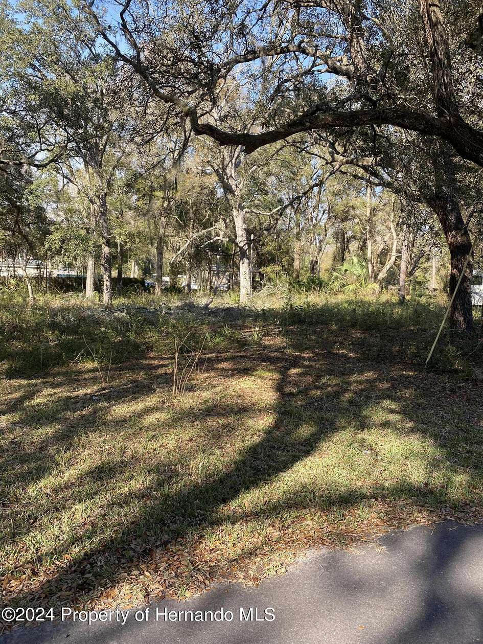 0.21 Acres of Residential Land for Sale in Bushnell, Florida