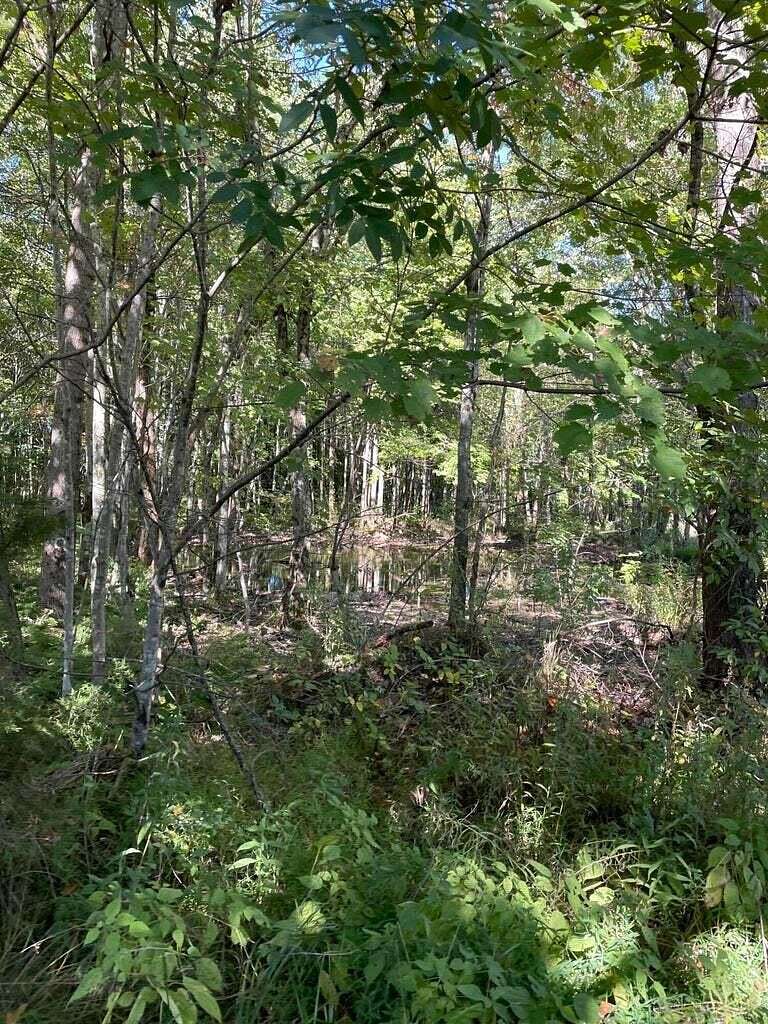 1.9 Acres of Land for Sale in Somerset, Kentucky