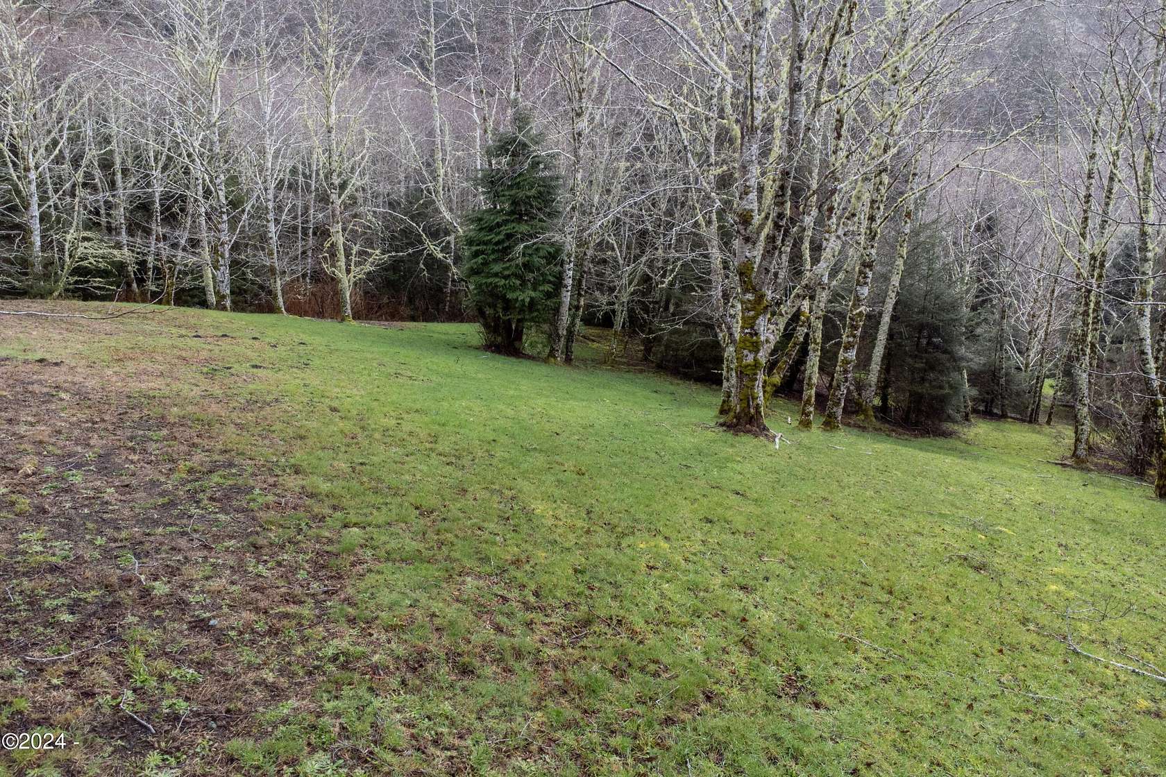 7.53 Acres of Land for Sale in Neskowin, Oregon