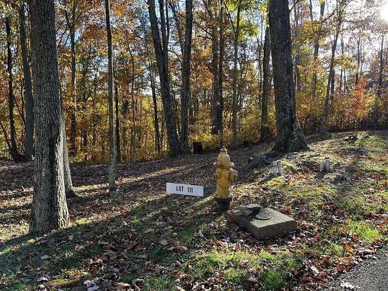 1.3 Acres of Residential Land for Sale in Caldwell, West Virginia