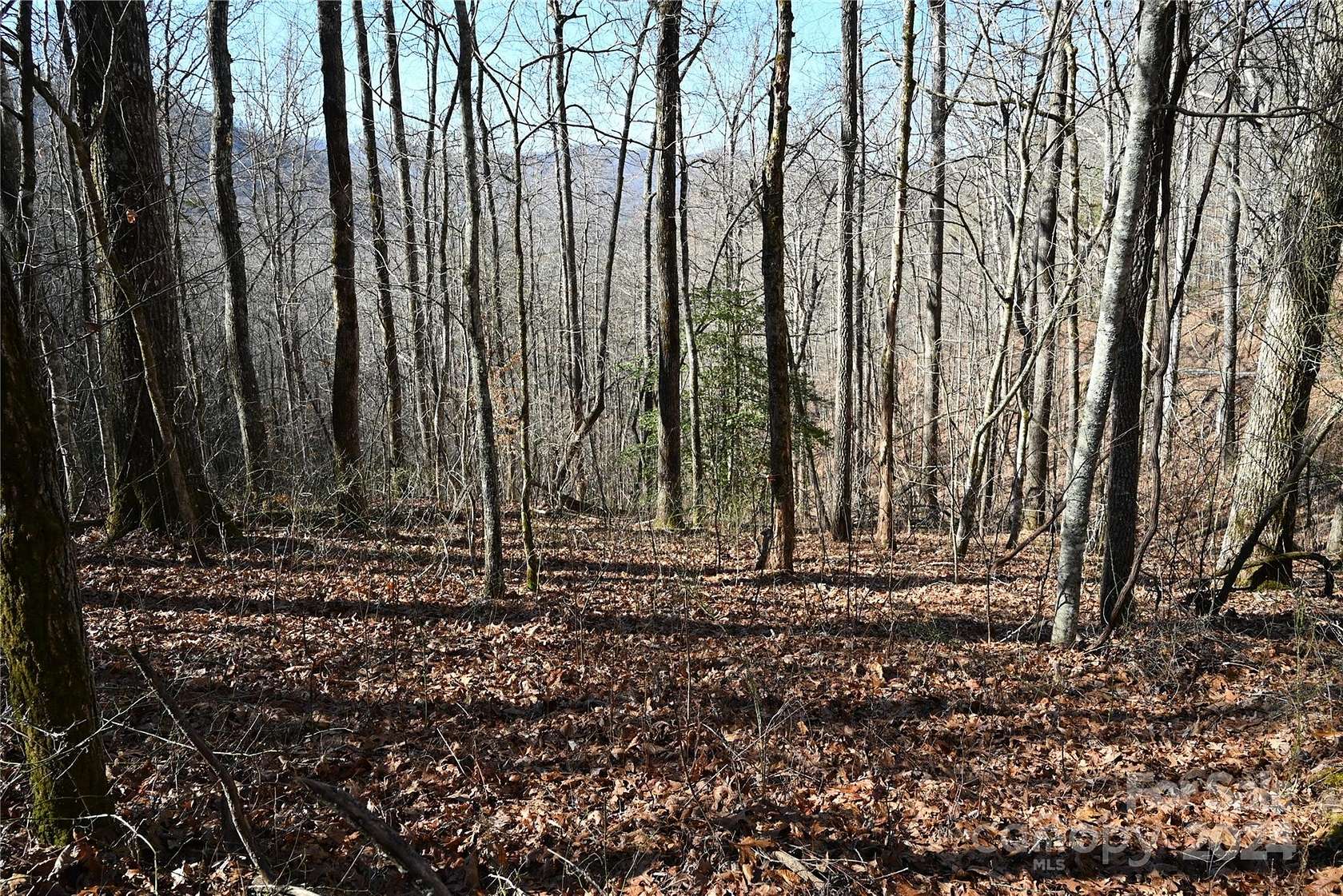 7.2 Acres of Land for Sale in Tuckasegee, North Carolina