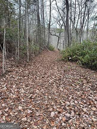 9.7 Acres of Residential Land for Sale in Toccoa, Georgia