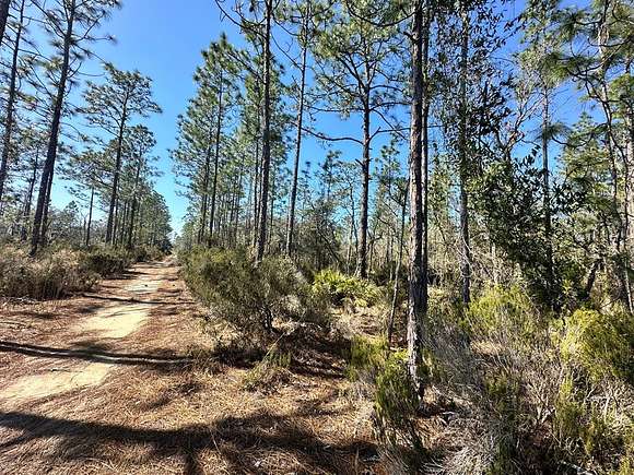 1.3 Acres of Land for Sale in Bronson, Florida