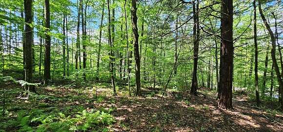 3.9 Acres of Residential Land for Sale in Lockwood, New York